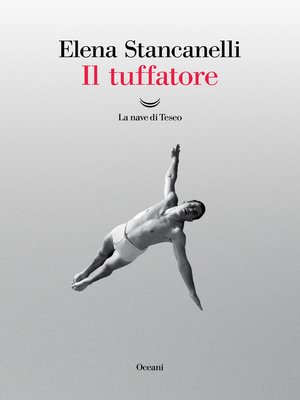 cover image of Il tuffatore